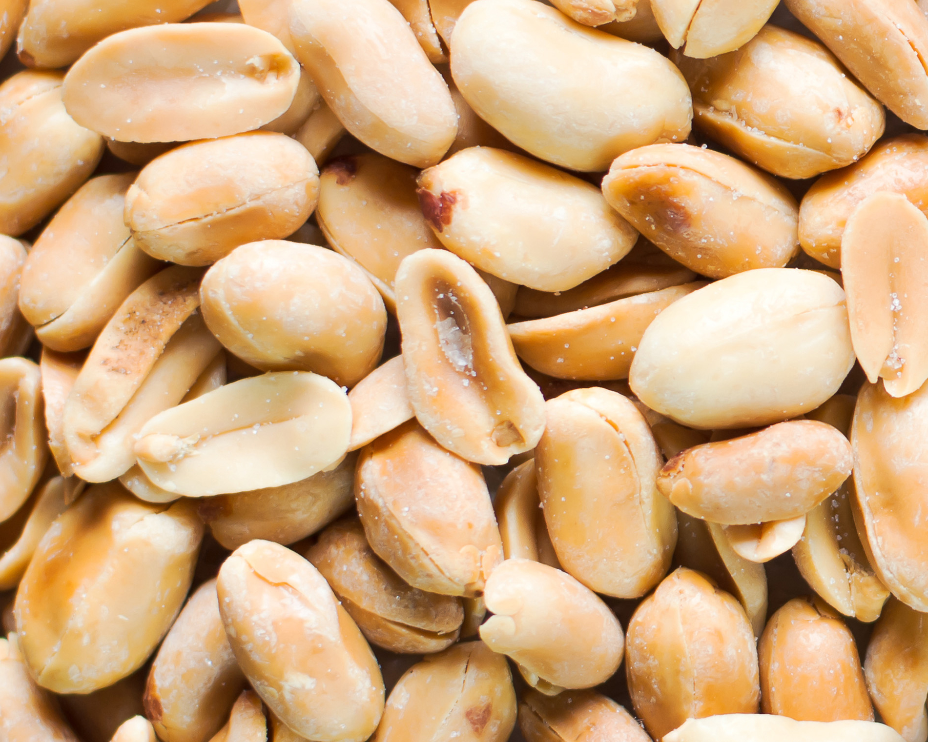 Organic Roasted & Salted Peanuts