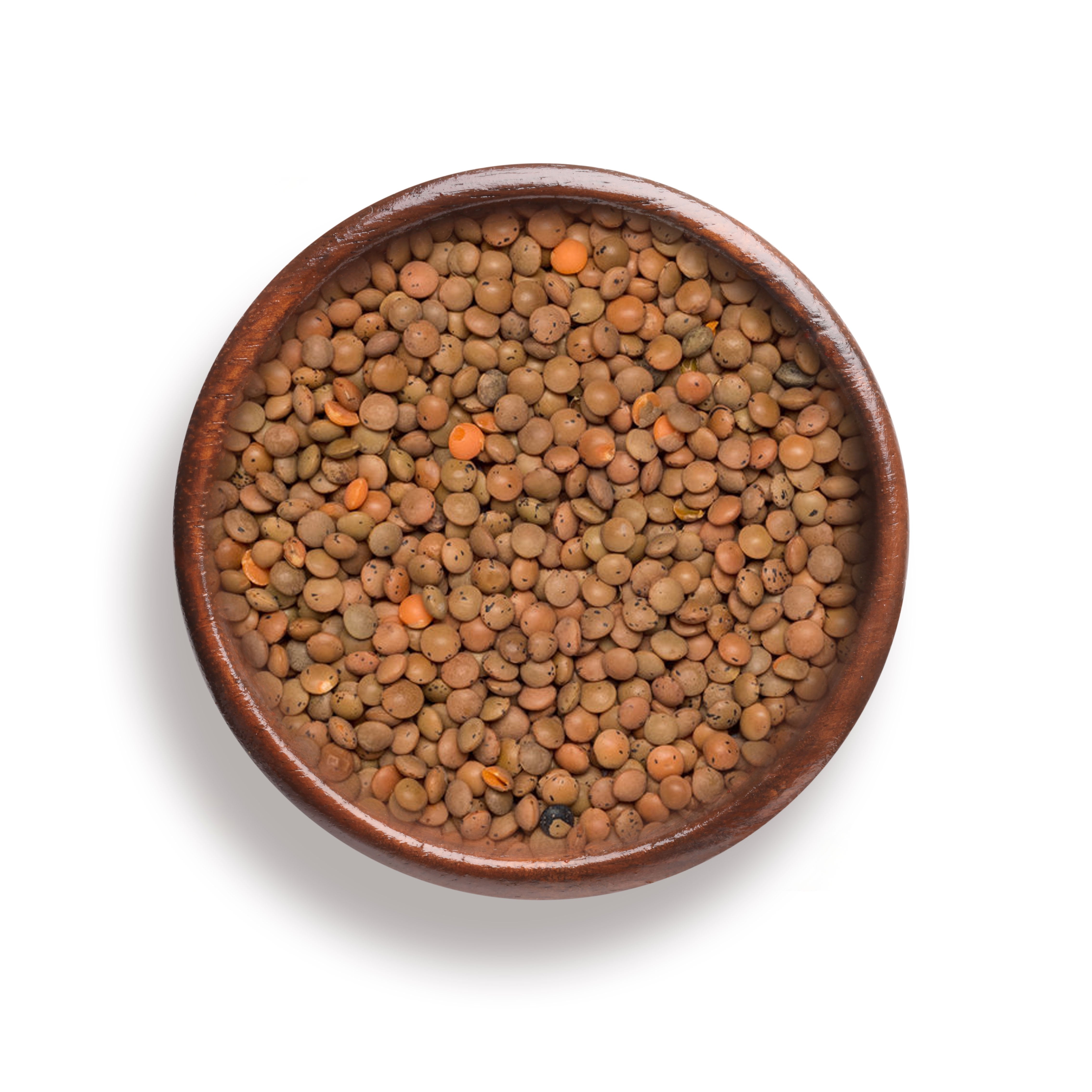 Organic Brown Lentils