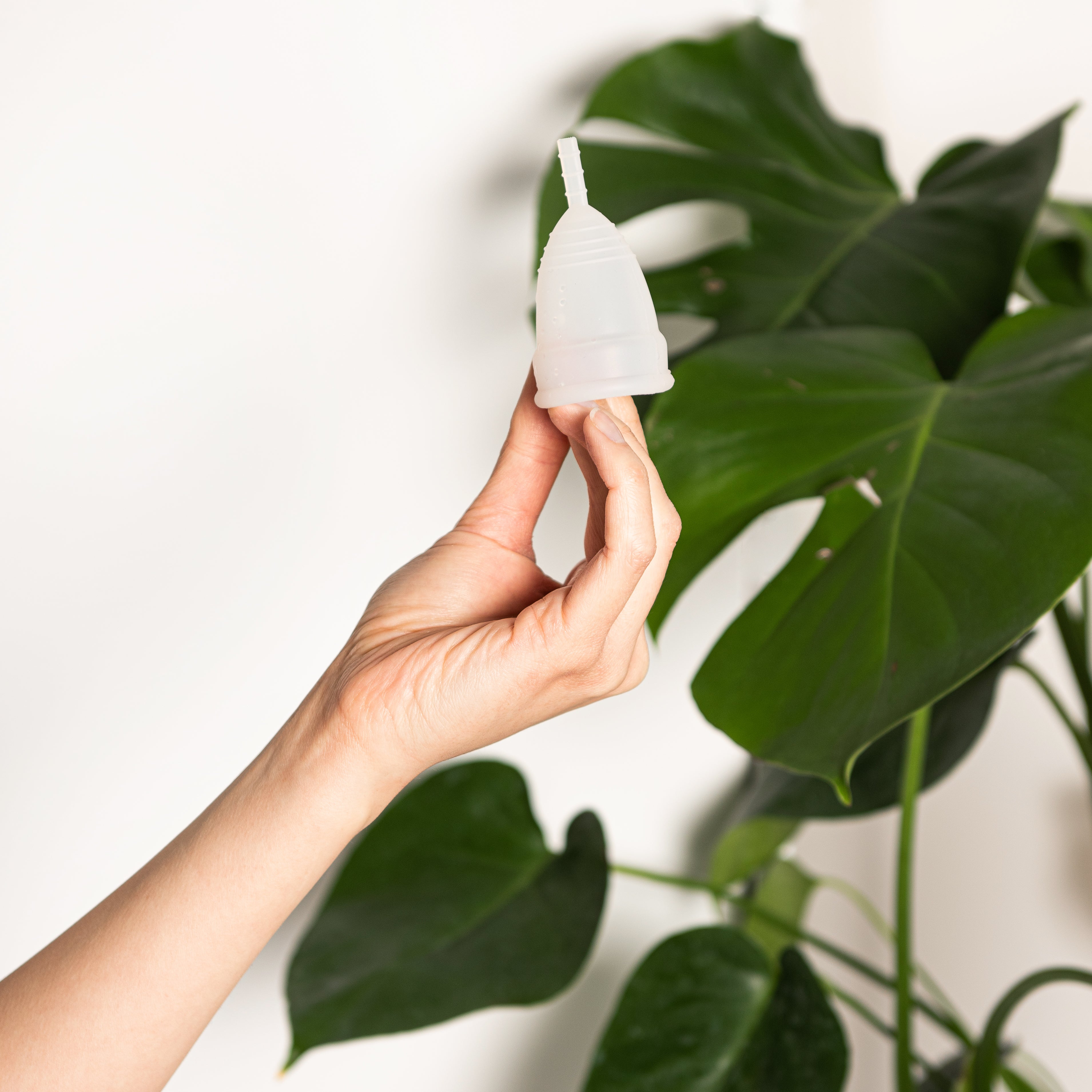 Reusable Menstrual Cup