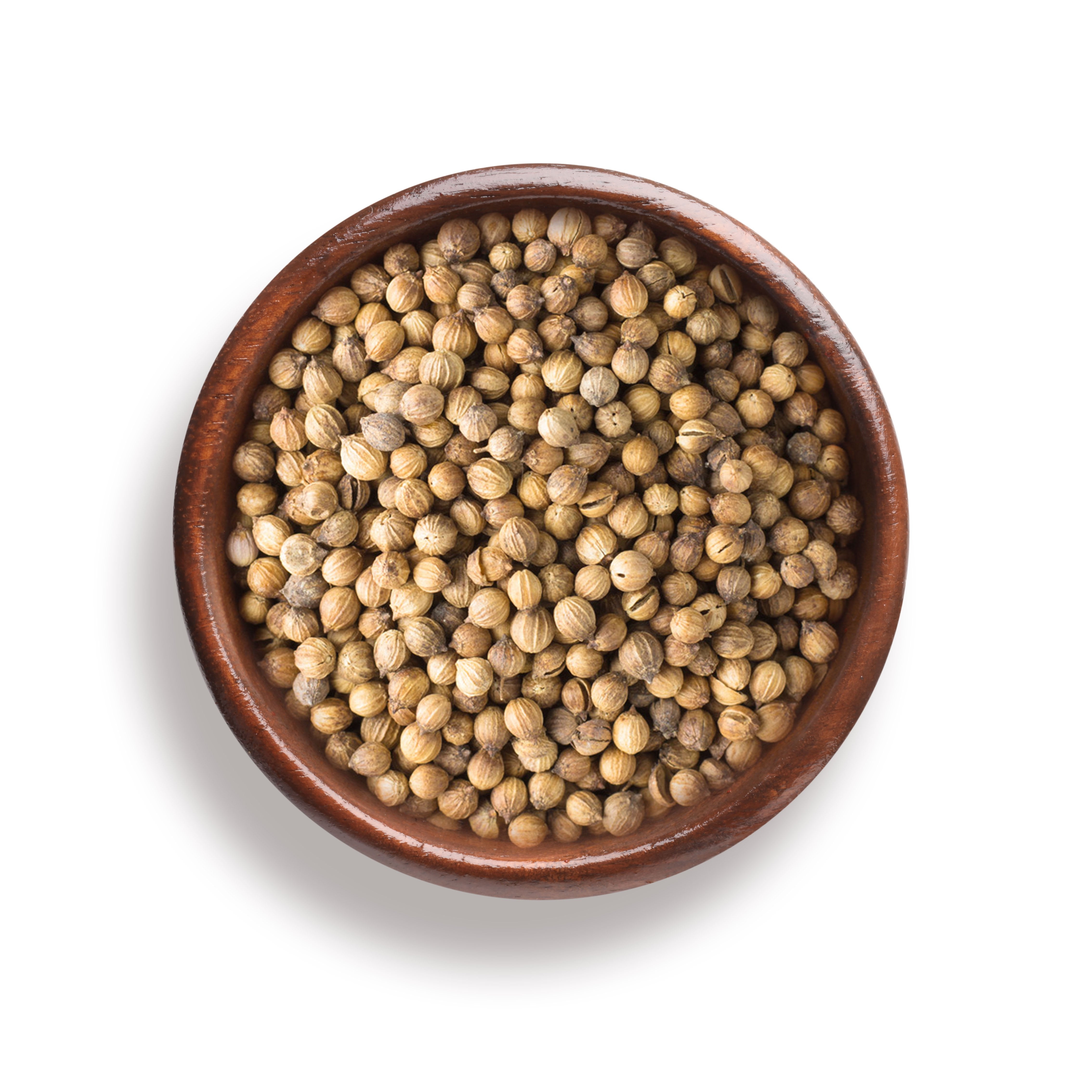 Organic Coriander Seeds