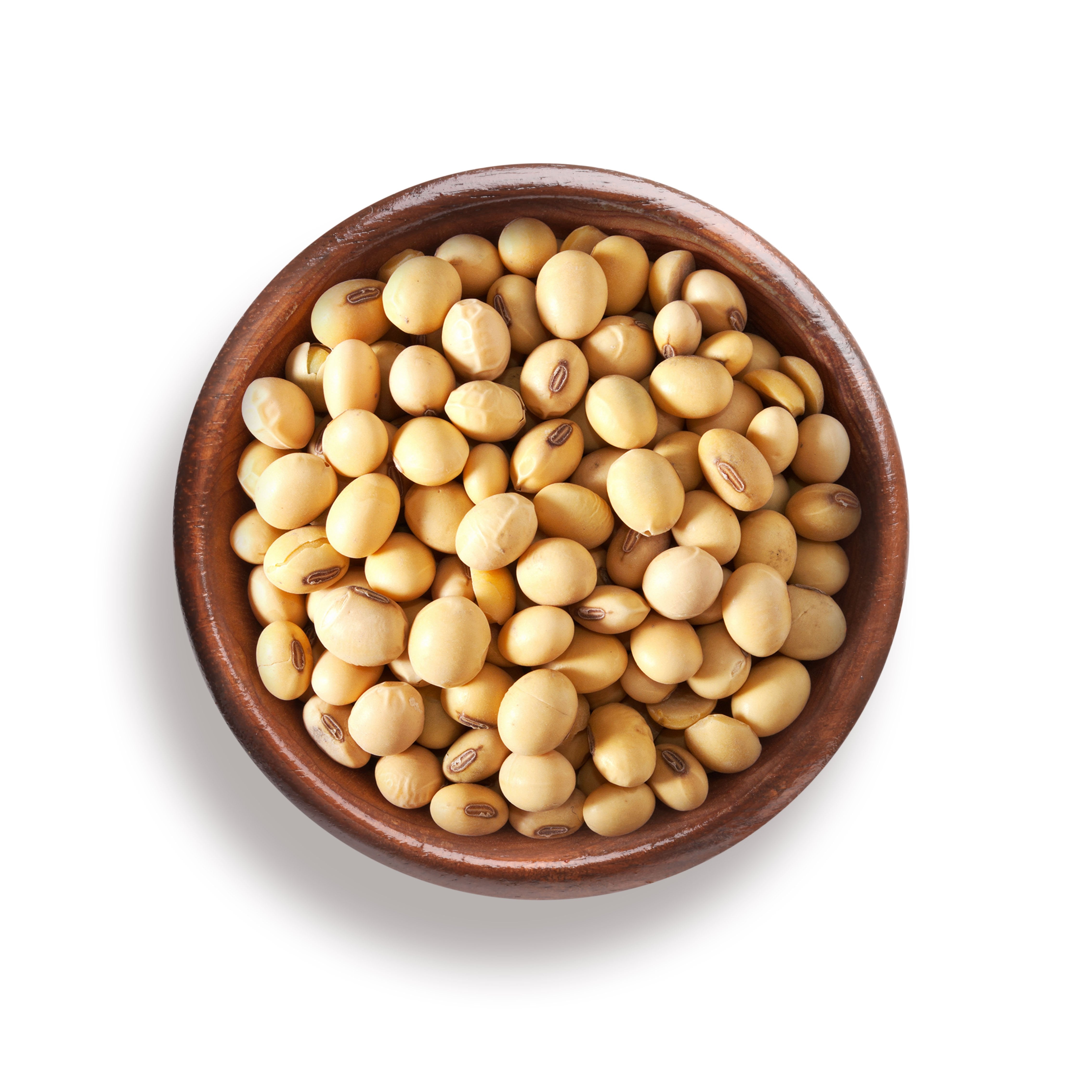 Organic Soy Beans