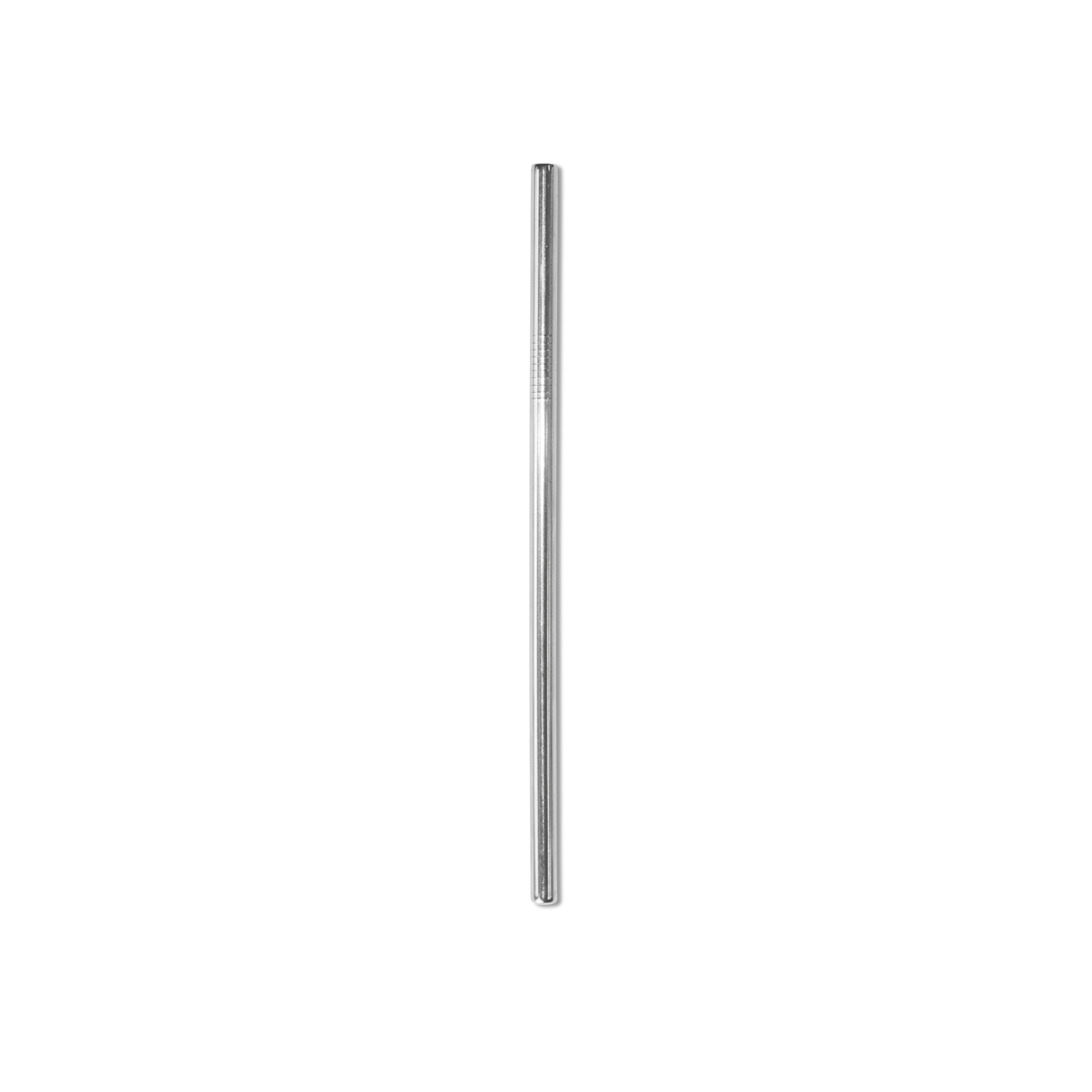 Stainless Steel Smoothie Straw