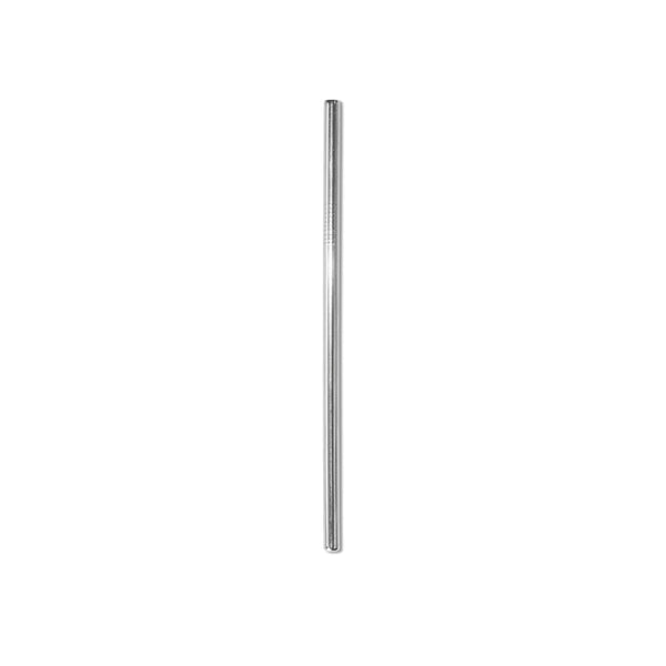Stainless Steel Smoothie Straw