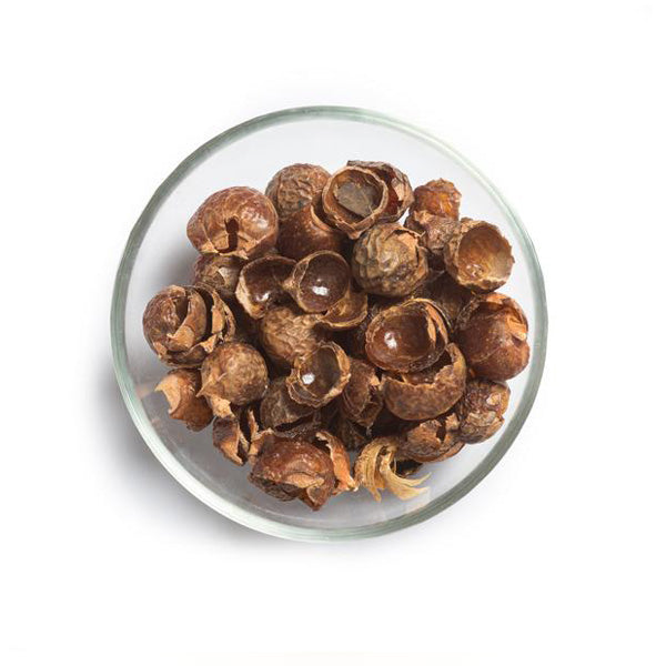 Organic Soapnuts